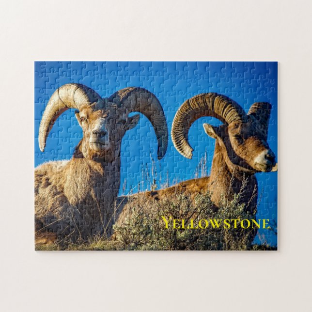 Puzzle Big Horn Game (Horizontal)