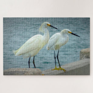 Puzzle Bijoux Herons Floride