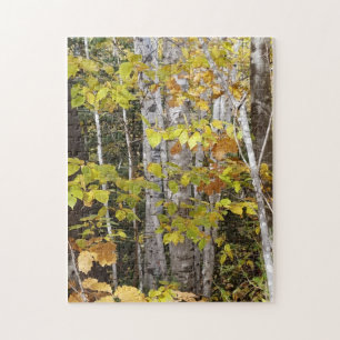 Puzzle Birch blanc en automne