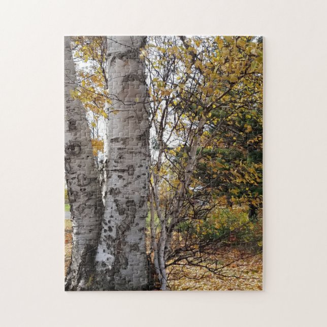 Puzzle Birch blanc en automne (Vertical)