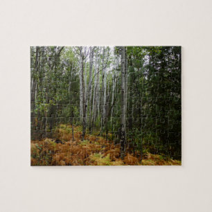Puzzle Birch Trees blancs et fougères d'automne à Rocky M