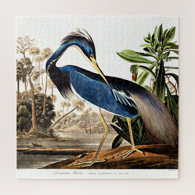 Puzzle Bird - Louisiana Heron par John James Audubon (Vertical)