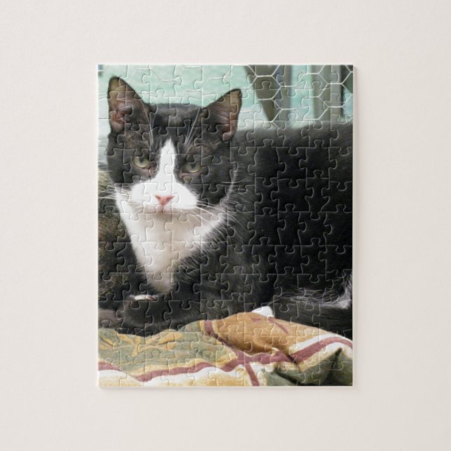 Puzzle Biscuit (Vertical)