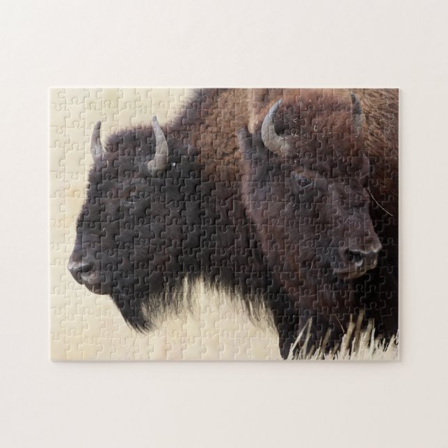 Puzzle bison (Horizontal)