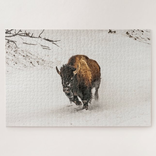 Puzzle Bison à travers la neige - 1014 pièce (Horizontal)