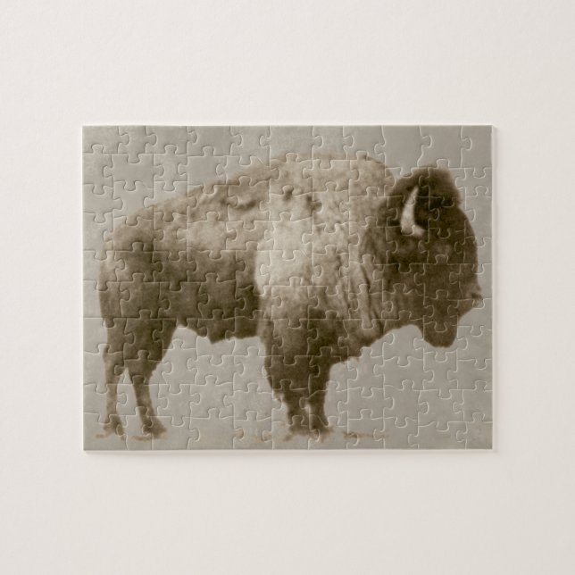 Puzzle Bison d'Amérique (Horizontal)