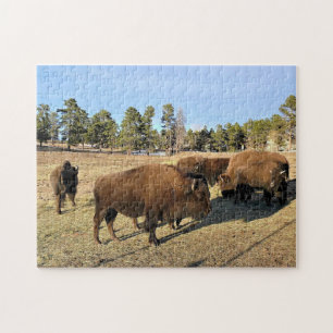 Puzzle Bison dans le Colorado