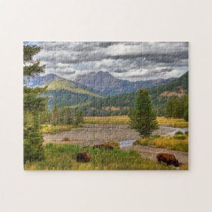 Puzzle Bison de Yellowstone