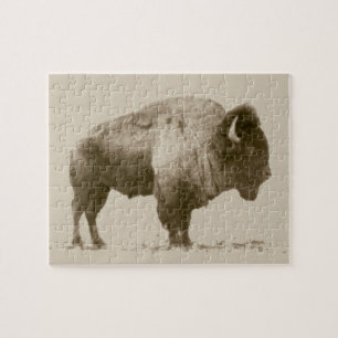 Puzzle Bison des plaines