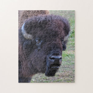 Puzzle Bison dominant de Taureau
