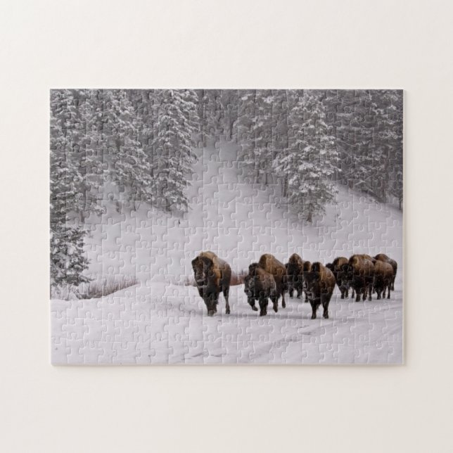 Puzzle Bison en hiver (Horizontal)