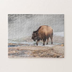 Puzzle Bison ou bison