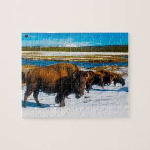 Puzzle Bison Yellowstone Wyoming