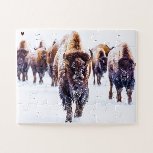Puzzle Bison Yellowstone Wyoming (Horizontal)