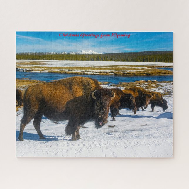 Puzzle Bison Yellowstone Wyoming. voeux de Noël (Horizontal)
