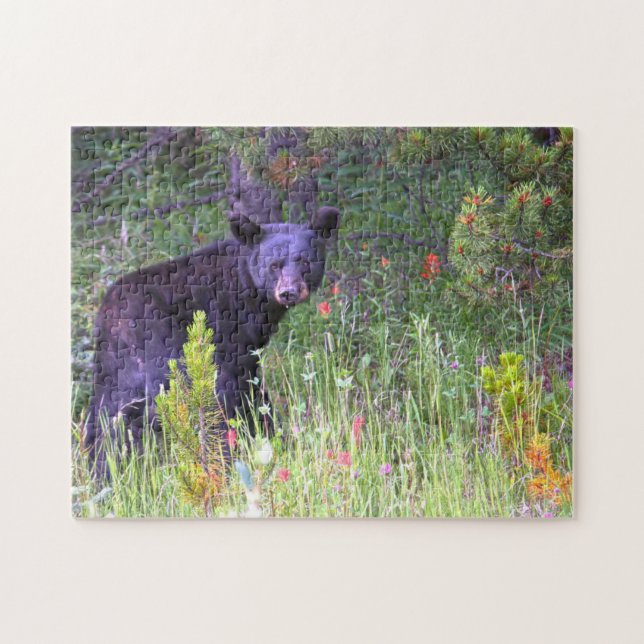 Puzzle Black Bears Canada. (Horizontal)