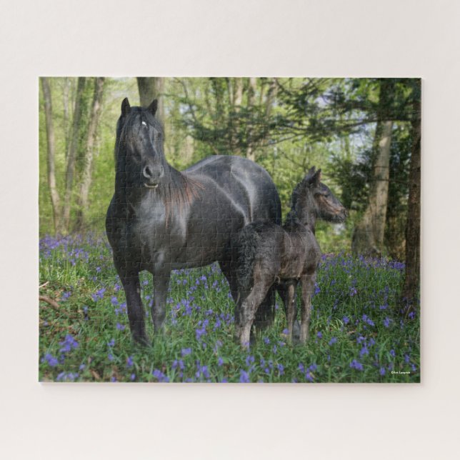 Puzzle Black Friesian Mare et Foie dans Bluebells (Horizontal)