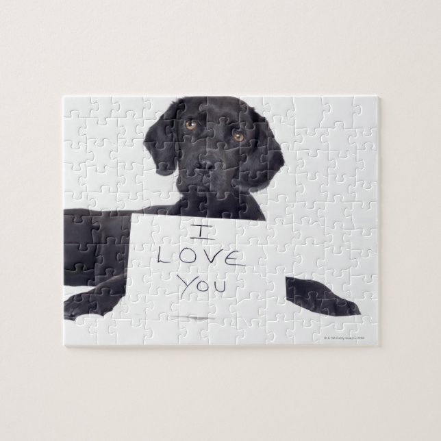 Puzzle Black Labrador 13 mois (Horizontal)