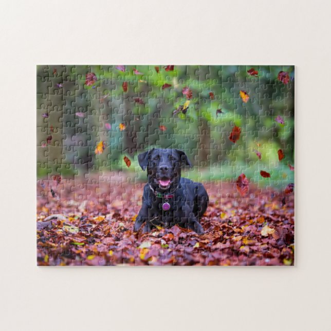 Puzzle Black Labrador Dans Les Feuilles Automnes (Horizontal)