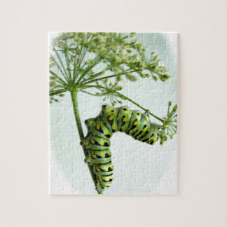 Puzzle Black Swallowtail Caterpillar mangeant du persil