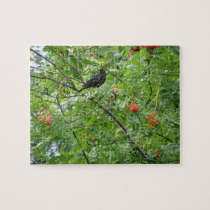 Puzzle Blackbird et Berries