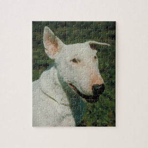 Puzzle blanc de chien de bull-terrier