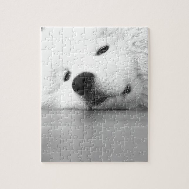 Puzzle Blanc de chien de photo de Samoyed (Vertical)