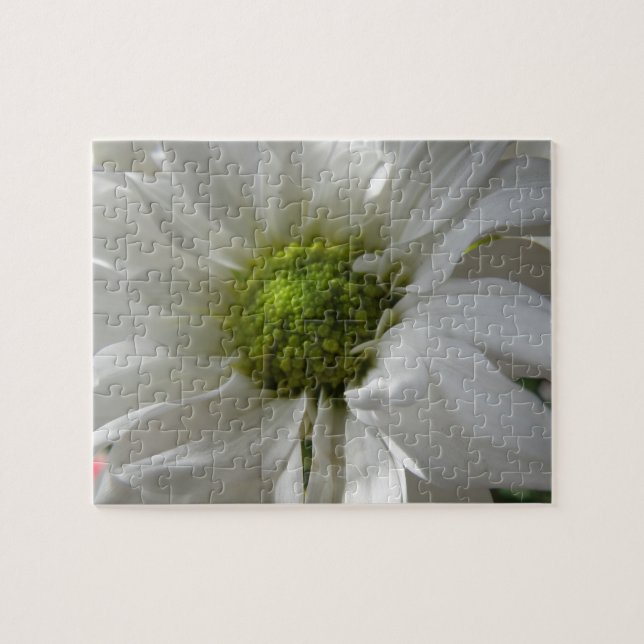 Puzzle blanc de chrysanthème (Horizontal)