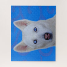 Puzzle blanc de Husky Sibérie (Bleu BG)