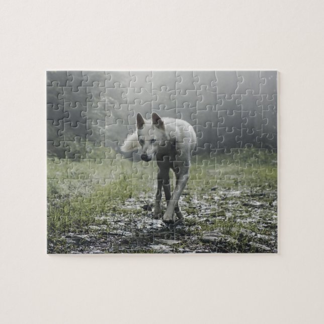 Puzzle blanc de Husky Sibérien (Horizontal)