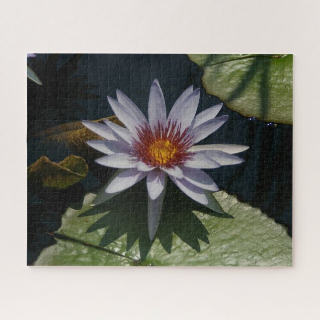 Puzzle blanc violet Nénuphar (Horizontal)