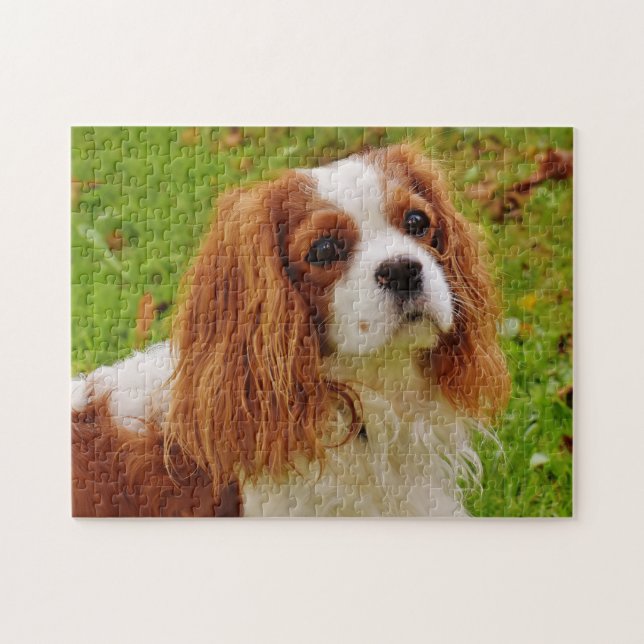 Puzzle Blenheim Cavalier King Charles Spaniel Chien Chien (Horizontal)