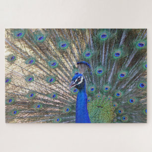 Puzzle Bleu Beauty Peacock