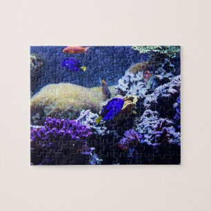 Puzzle bleu de peinture de poissons de Tang