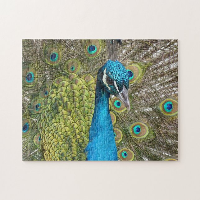 Puzzle bleu Peacock (Horizontal)