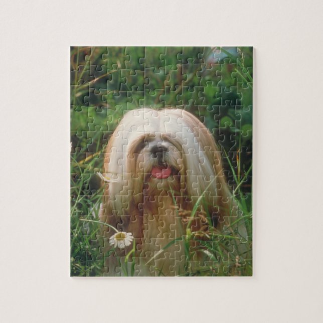 Puzzle blond de chien de Lhasa Apso (Vertical)