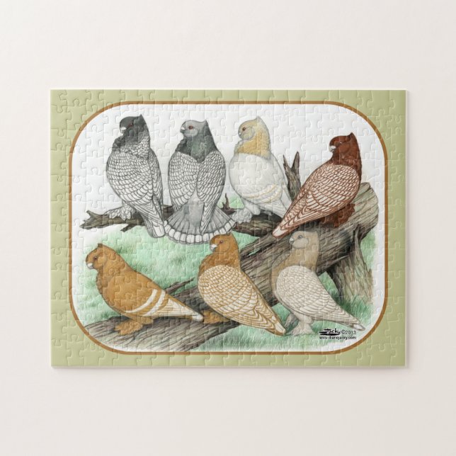 Puzzle Blondinettes de pigeons de frill classique (Horizontal)