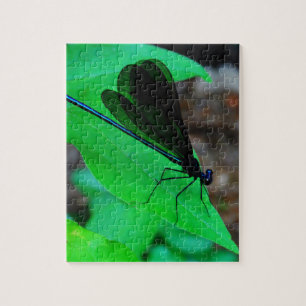 Puzzle Blue Damselfly on a green leaf.