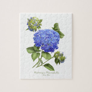 Puzzle Blue Hydrangeas