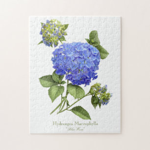 Puzzle Blue Hydrangeas