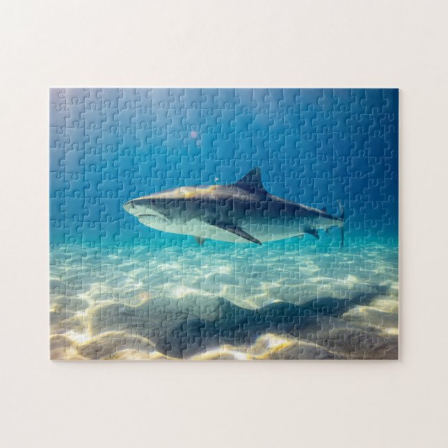 Puzzle Blue Wild Shark Swim Sable d'eau Réflexion mer (Horizontal)