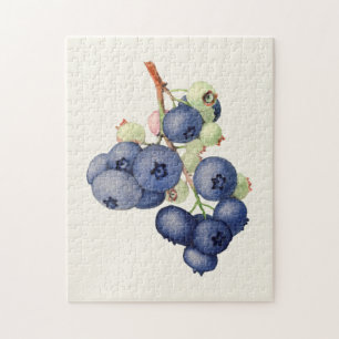 Puzzle Blueberries (Vaccinium Corymbosum) Fruit Painting