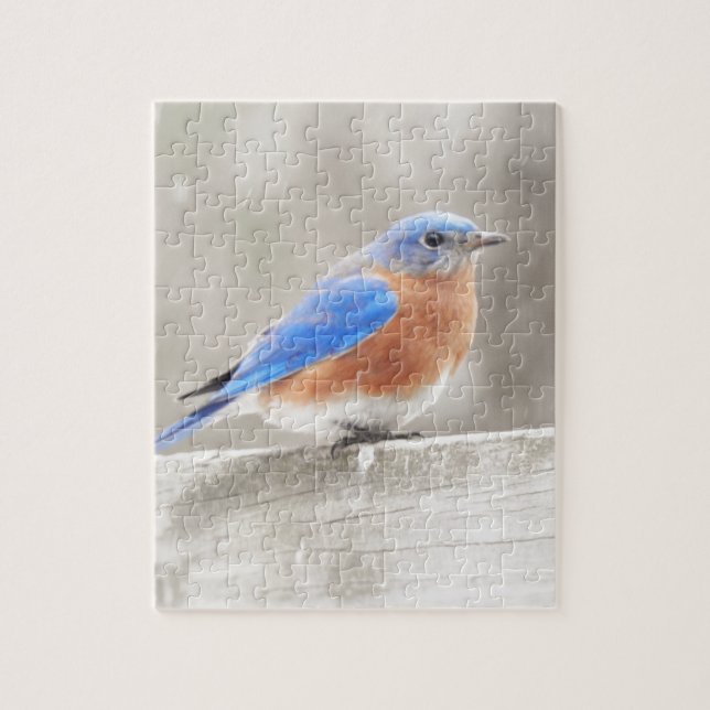 Puzzle Bluebird oriental mâle (Vertical)