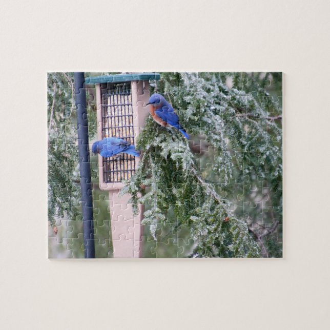 Puzzle Bluebirds d'hiver (Horizontal)