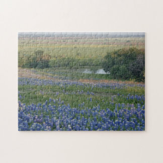 Puzzle Bluebonnets de Texas