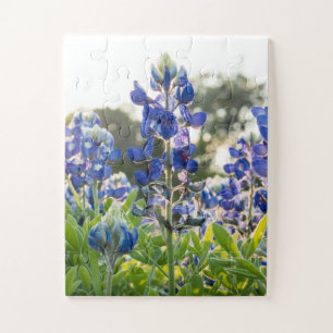 Puzzle Bluebonnets Fleurs Bleues Texas Texan Floral