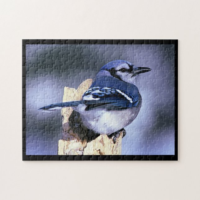 Puzzle BlueJay (Horizontal)