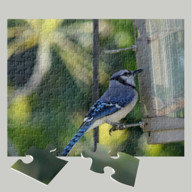 Puzzle Bluejay Perched on Birdfeeder (Créateur téléchargé)