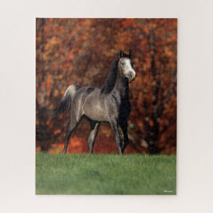 Puzzle Bob Langrish   Arabe Arrière - plan d'automne