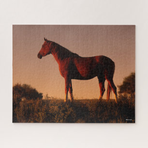 Puzzle Bob Langrish   Arabe debout Au Coucher Du Soleil